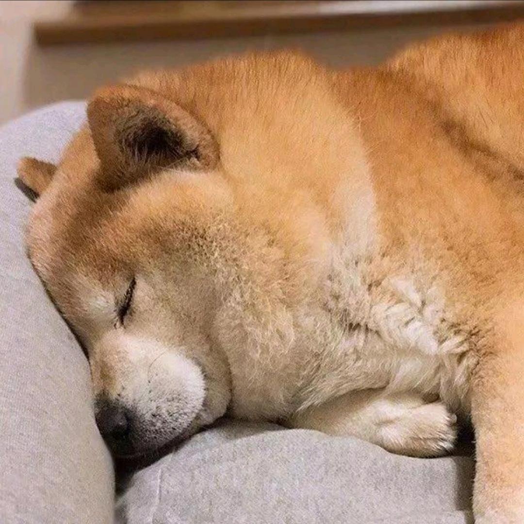 四月凝