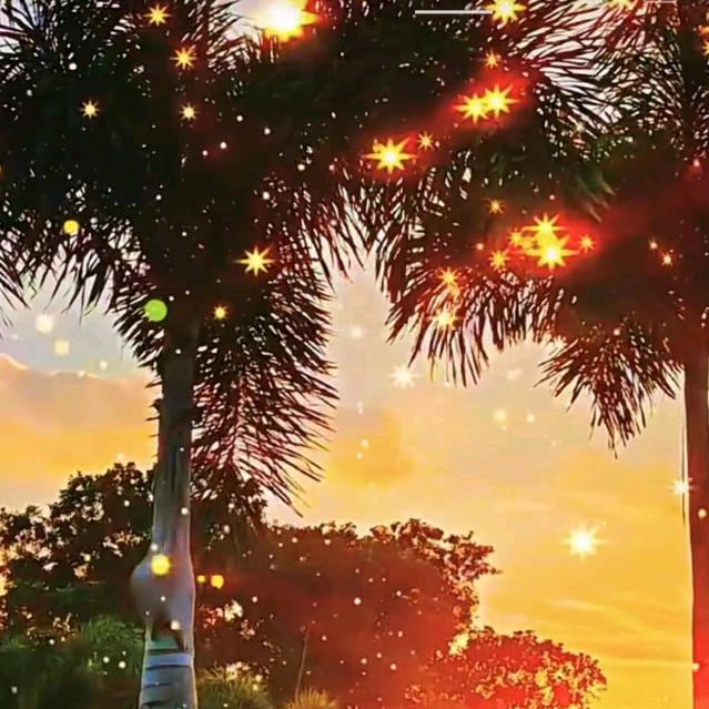 河南小妞（户外）