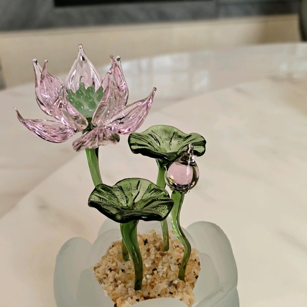 我心飞扬