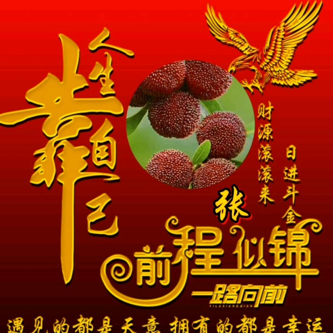 仙源神剑《仙居东魁杨梅》