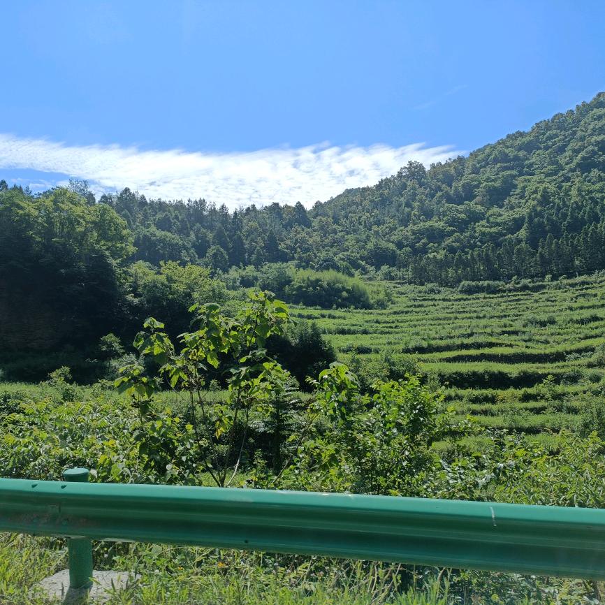 正傲