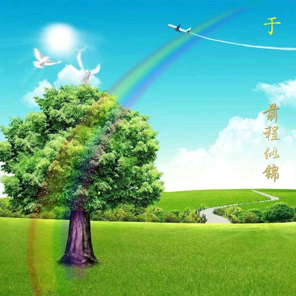 花哥