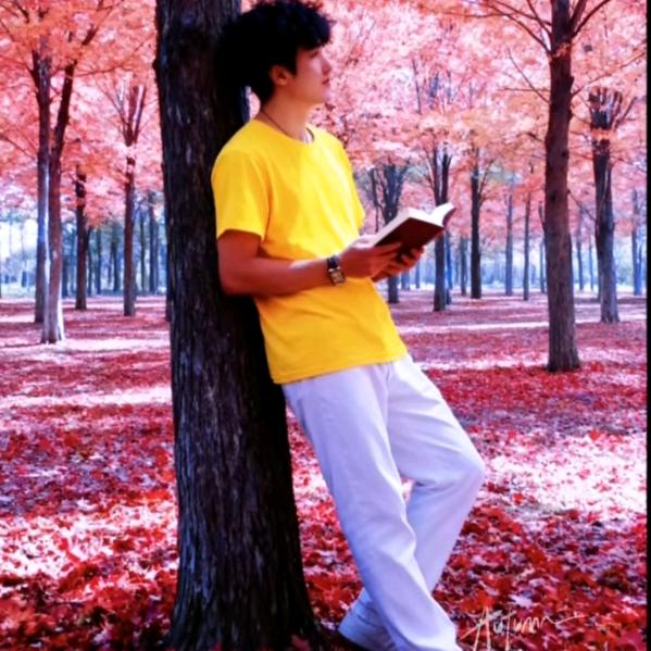 远🌱方🍃的🍂