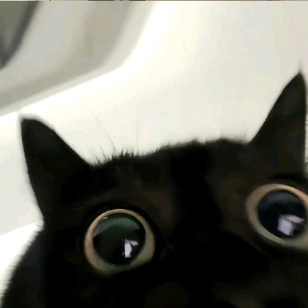 -qi