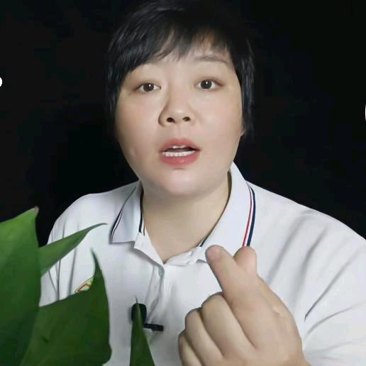 嬅姐