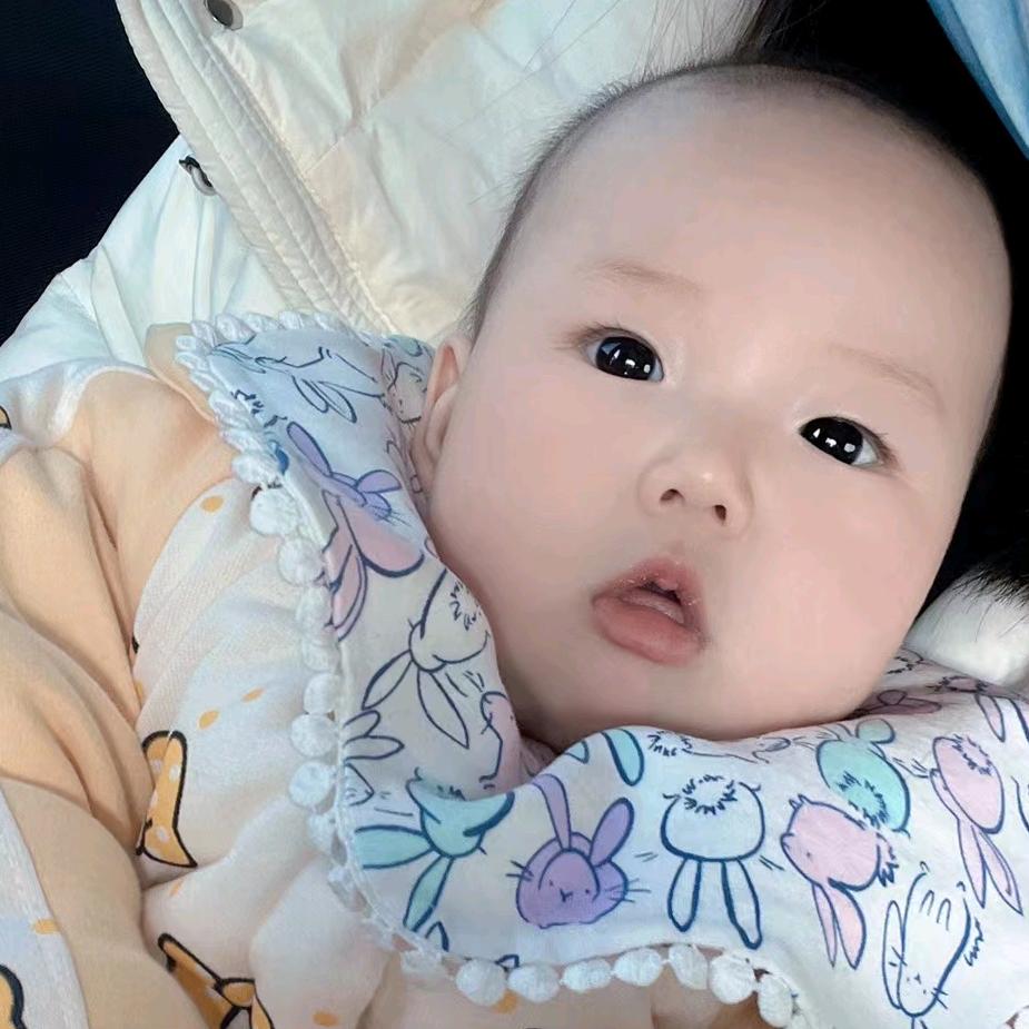 小布丁