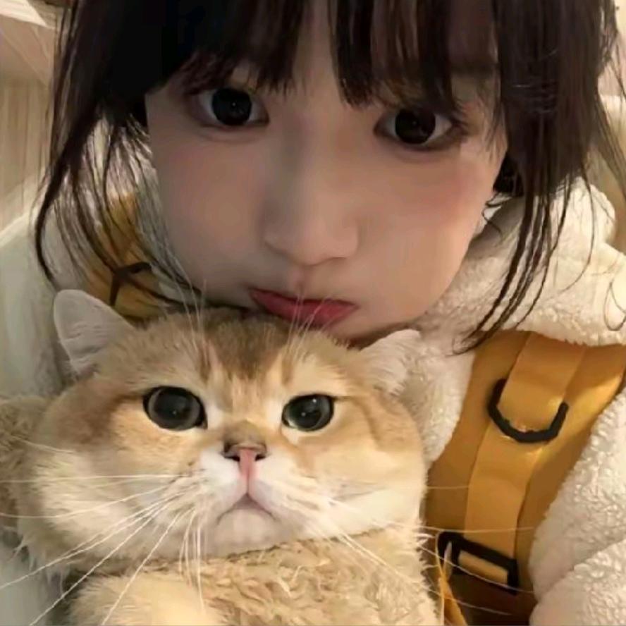 十五爱