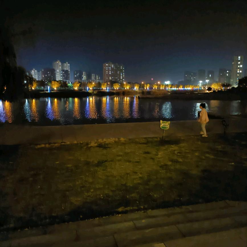 大白鲨