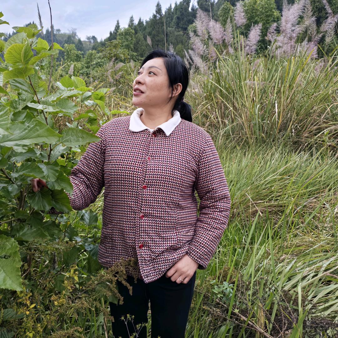 老六