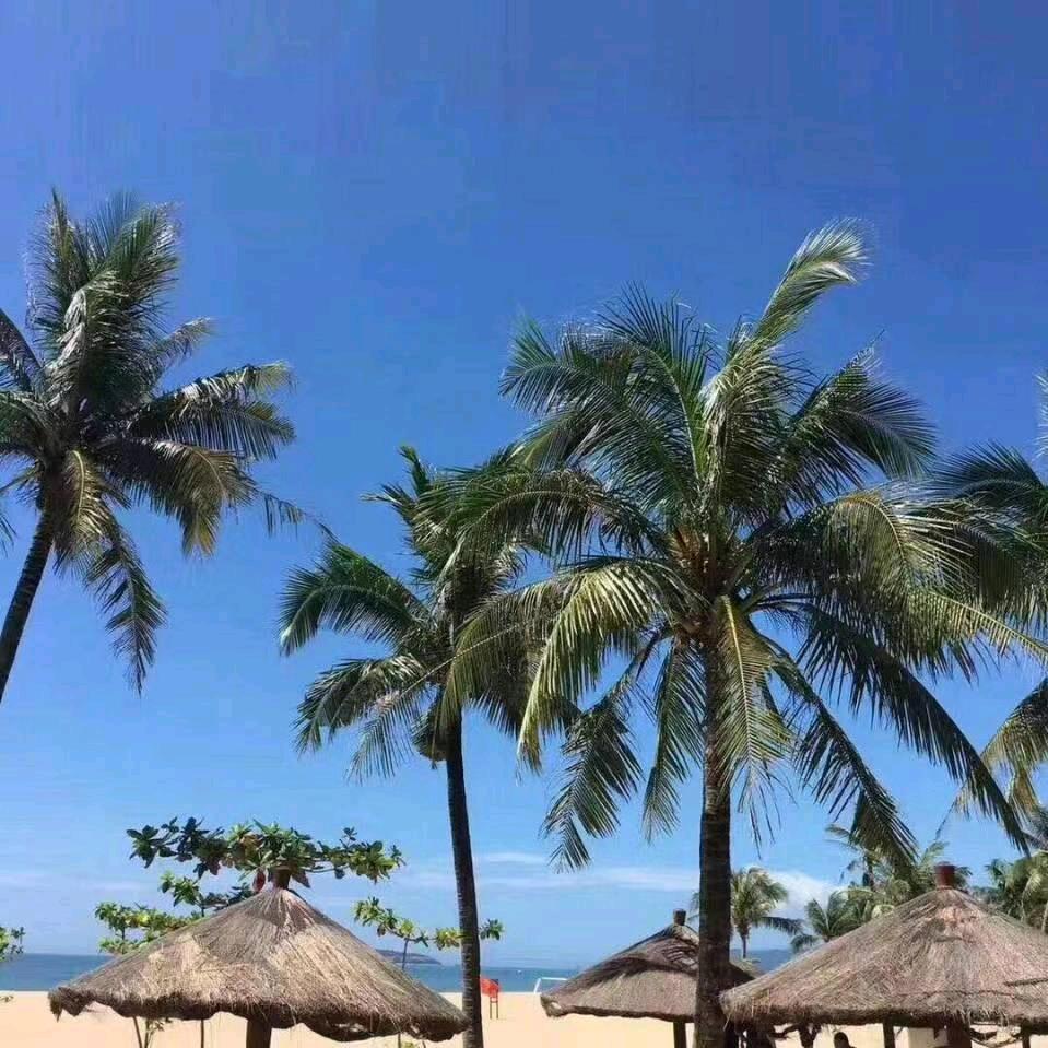 厚德载物