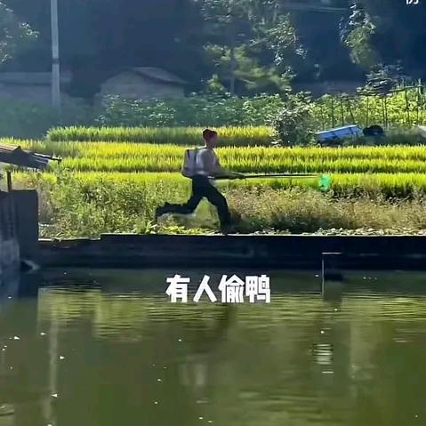 雪条