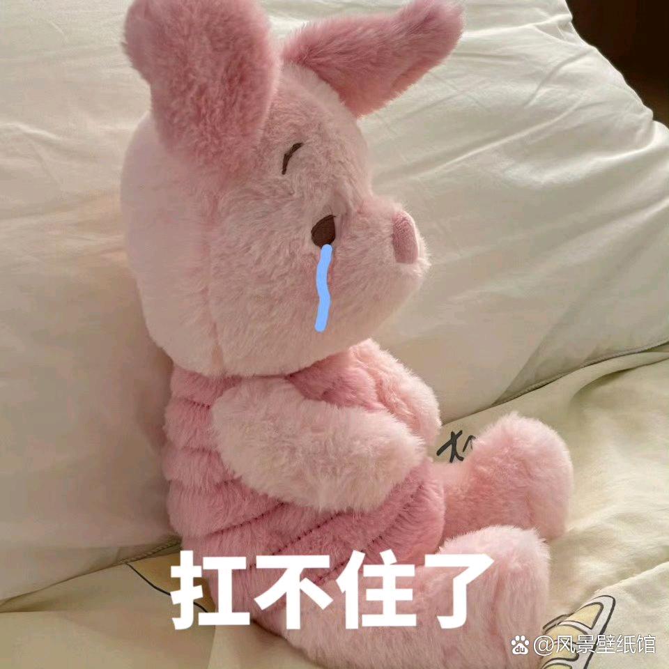 眈眈呆了个呆