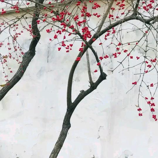 商洛记忆