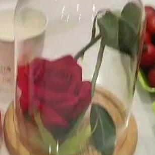 桦树茸