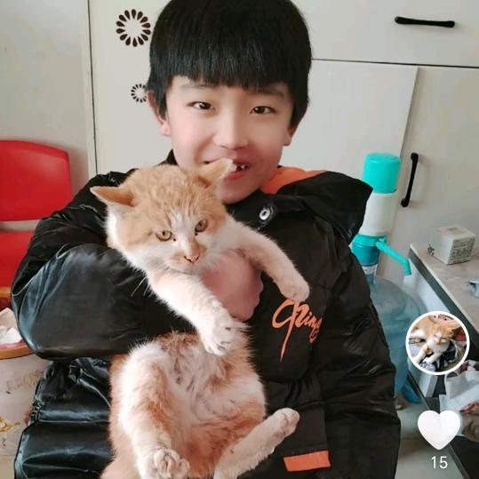 龙哥！
