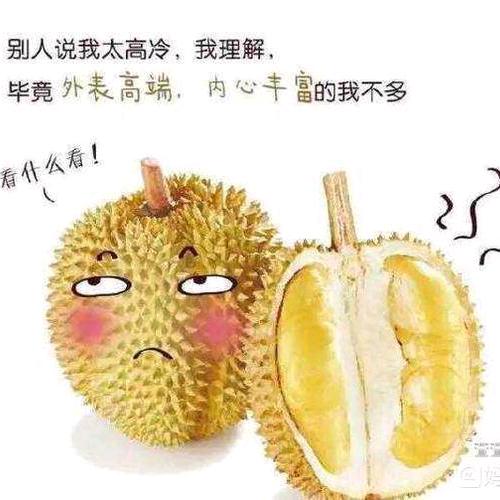 城市榴莲批发中心