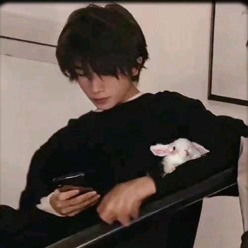 别刷抖音（增肌版）