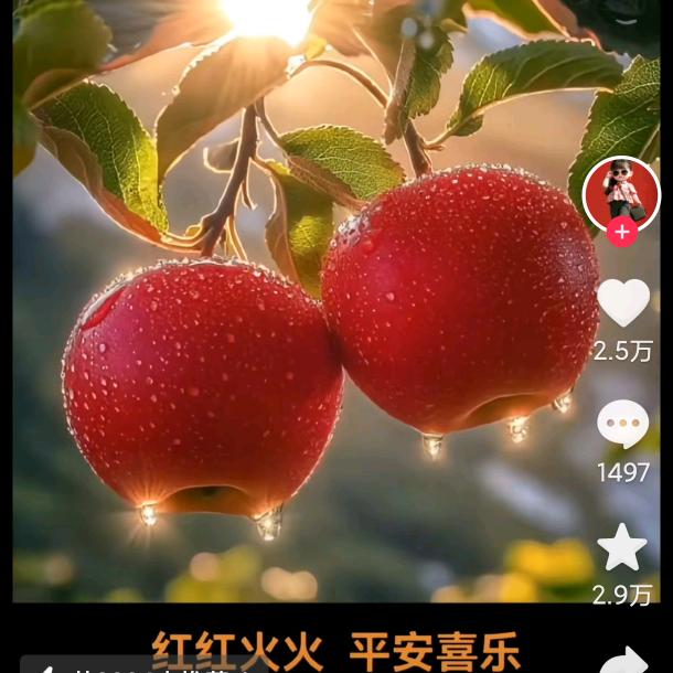 吴xj