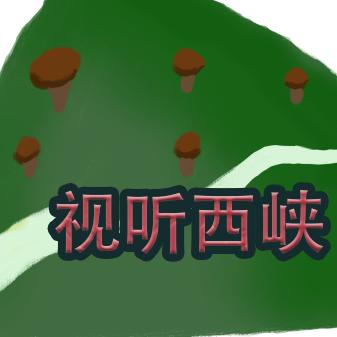 视听西峡居家优品