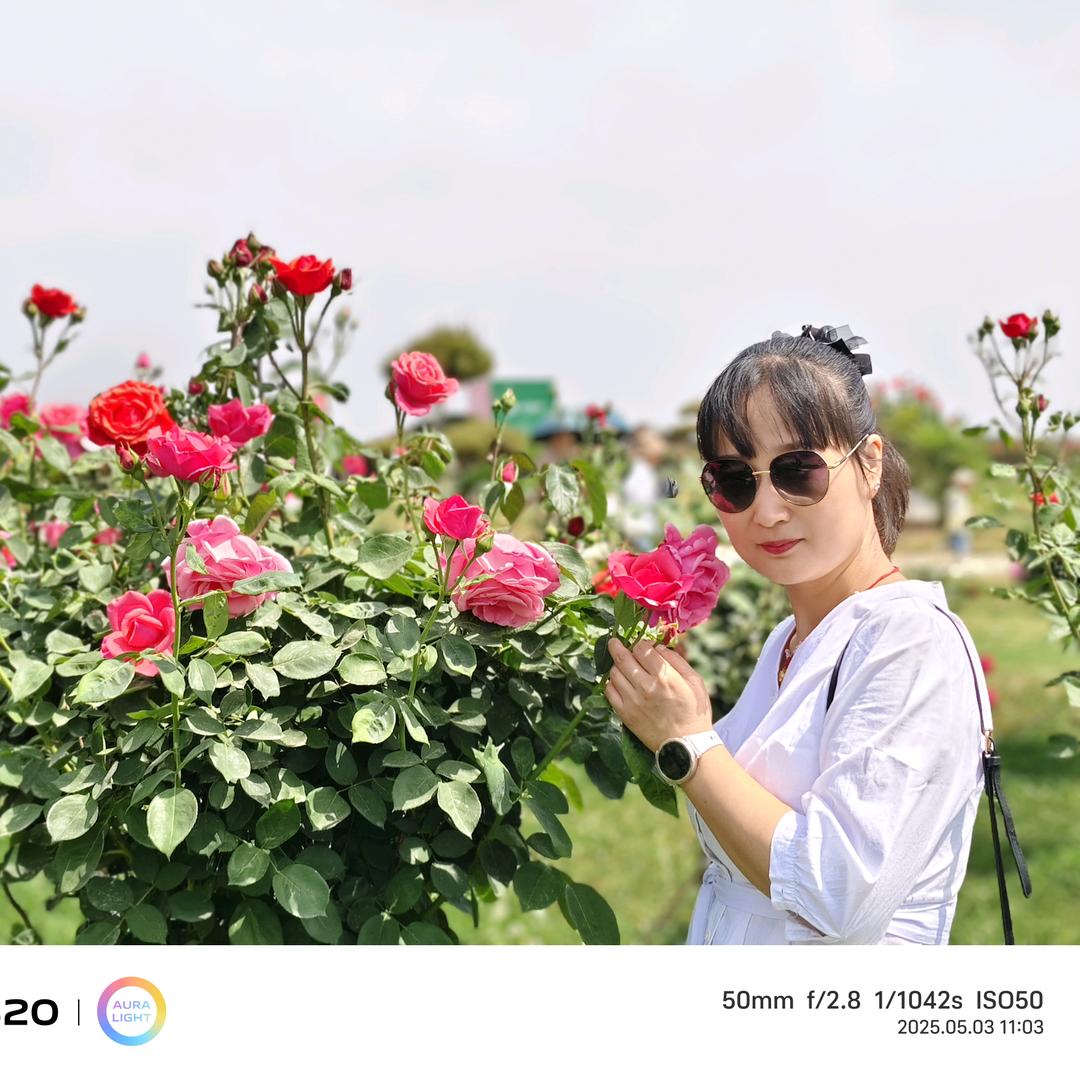 芬芬(我的一亩三分地)