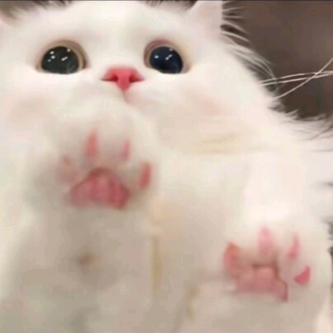 晚.