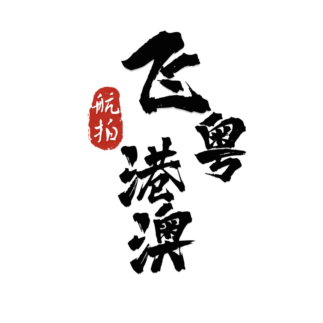 飞粤港澳