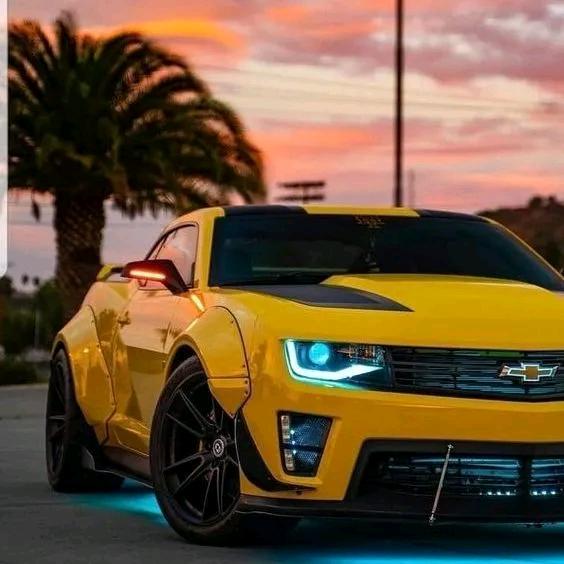 ⓘ 该账号已被封禁