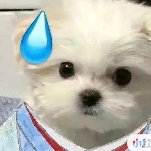 小茄0616