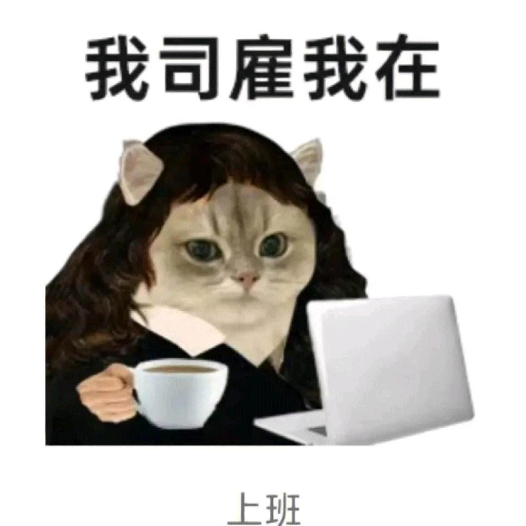 吴又可