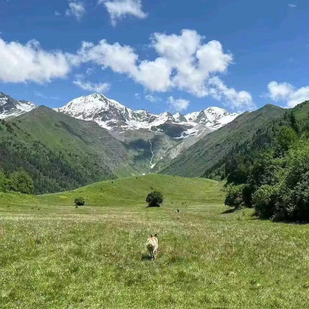 一生苦行僧