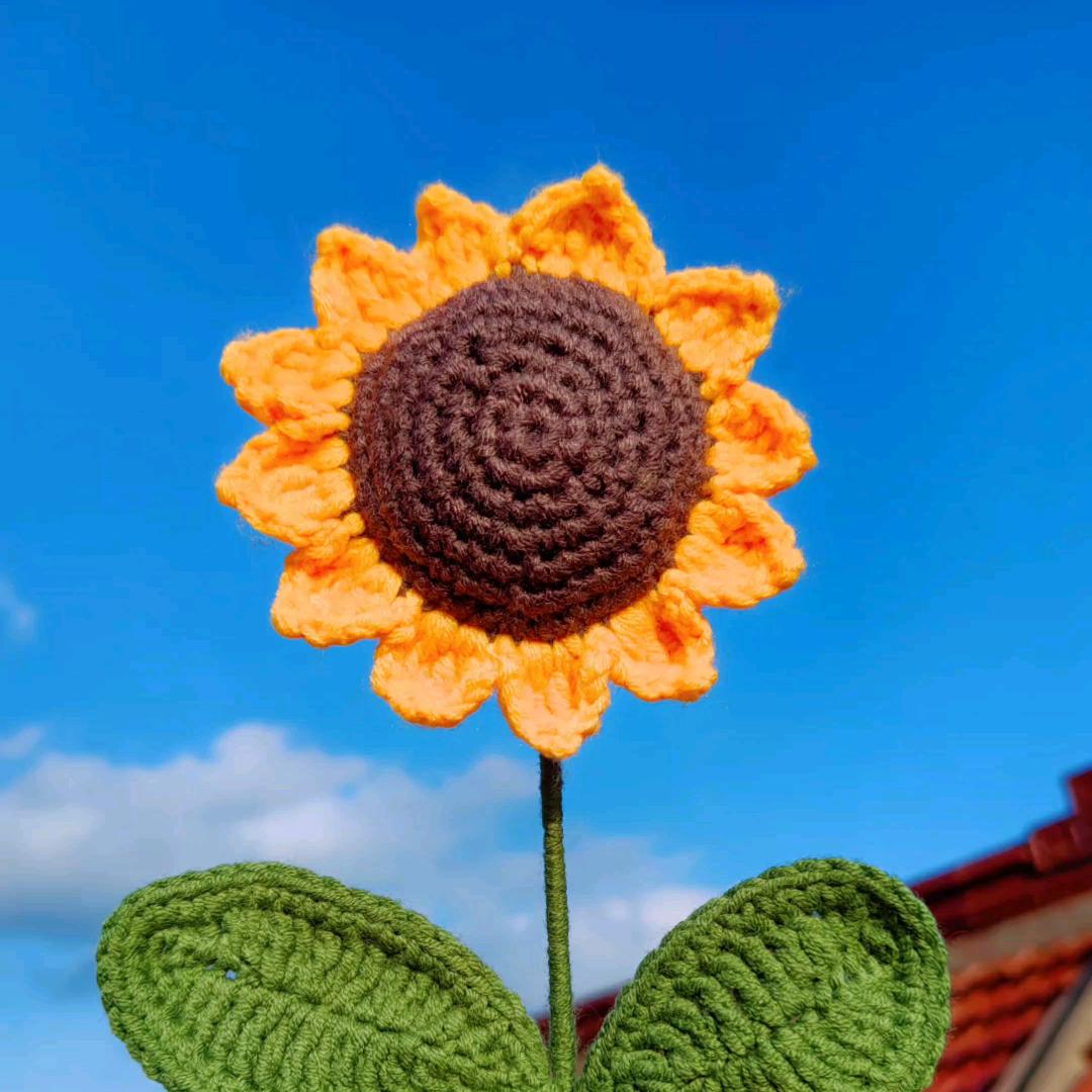 向☀而生
