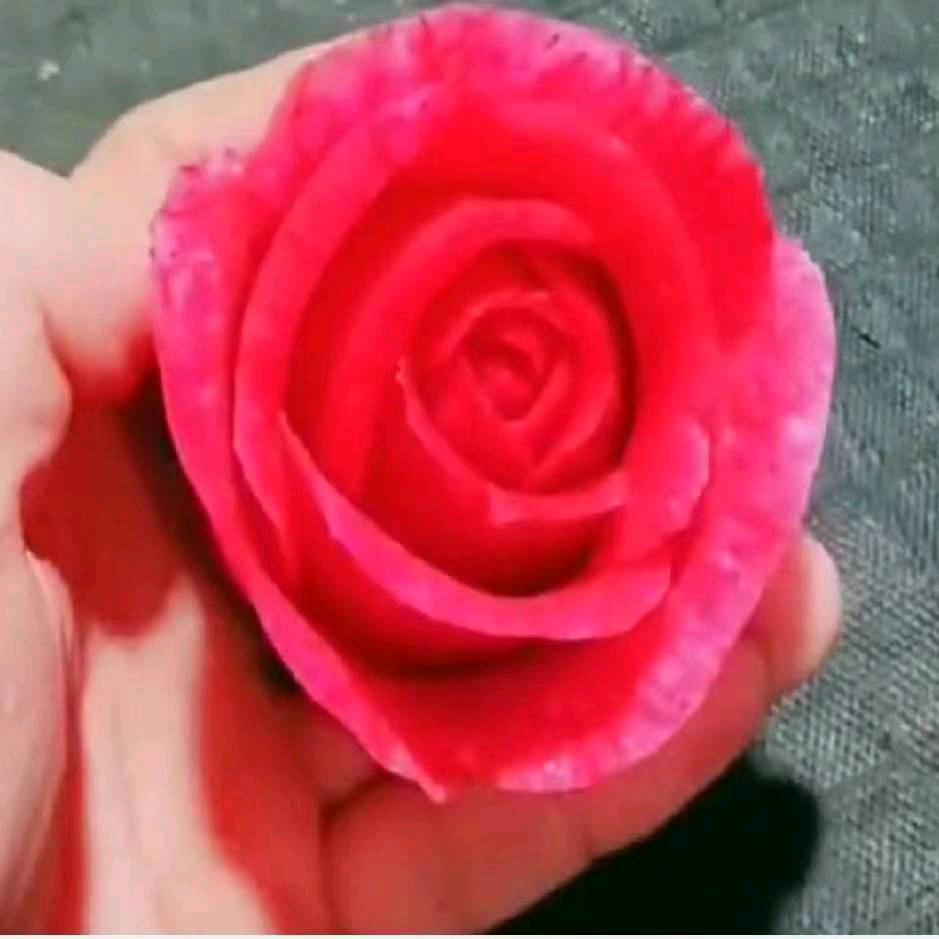 莲姐姐