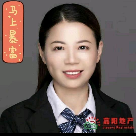 六安嘉阳地产潘友凤