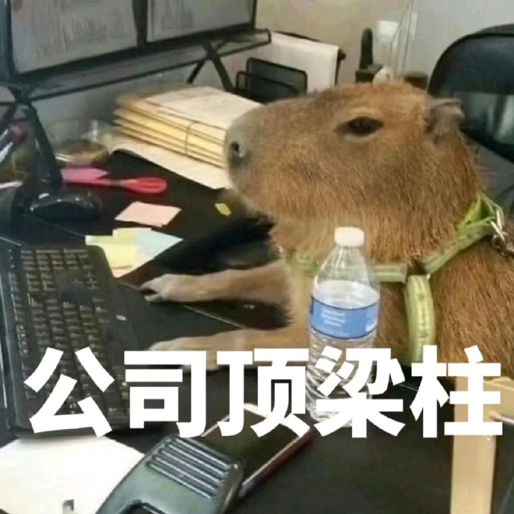 恭喜发财好运来来来