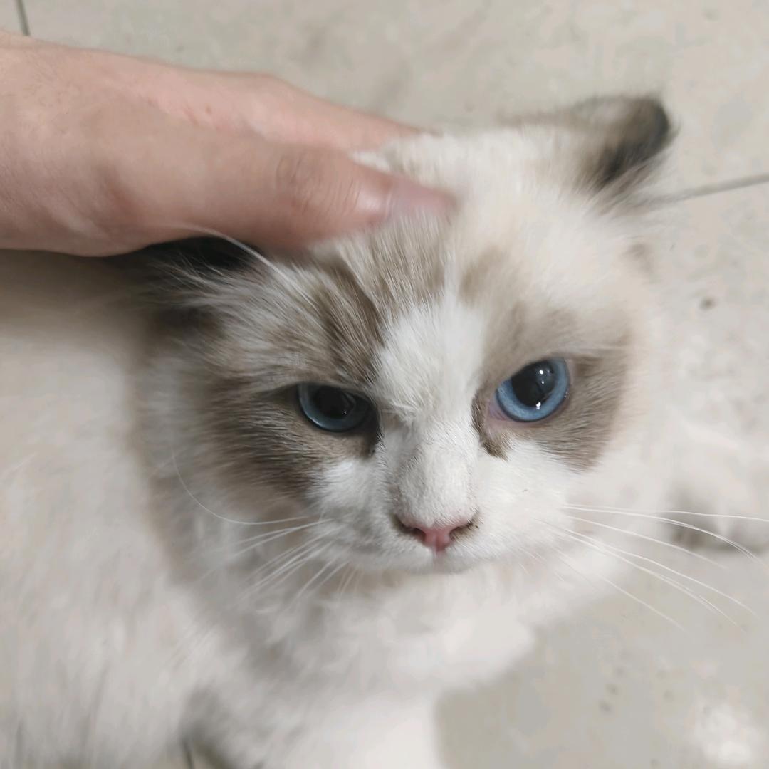 ☍(⠨[▓▓] 摘掉眼镜睡觉