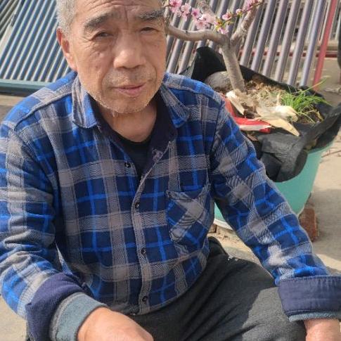 老当益壮rdvifdeuh