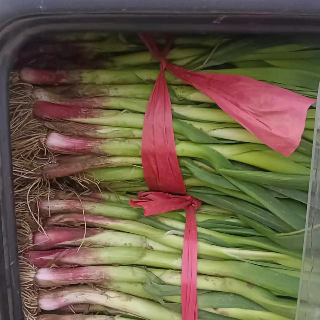 禹州言秋（蒜苗代办）