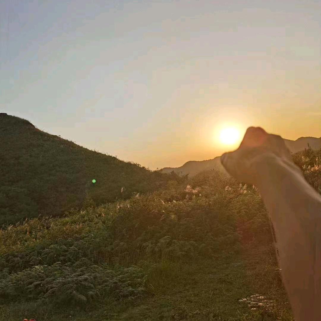 麻辣萝卜丝🤦‍♂️