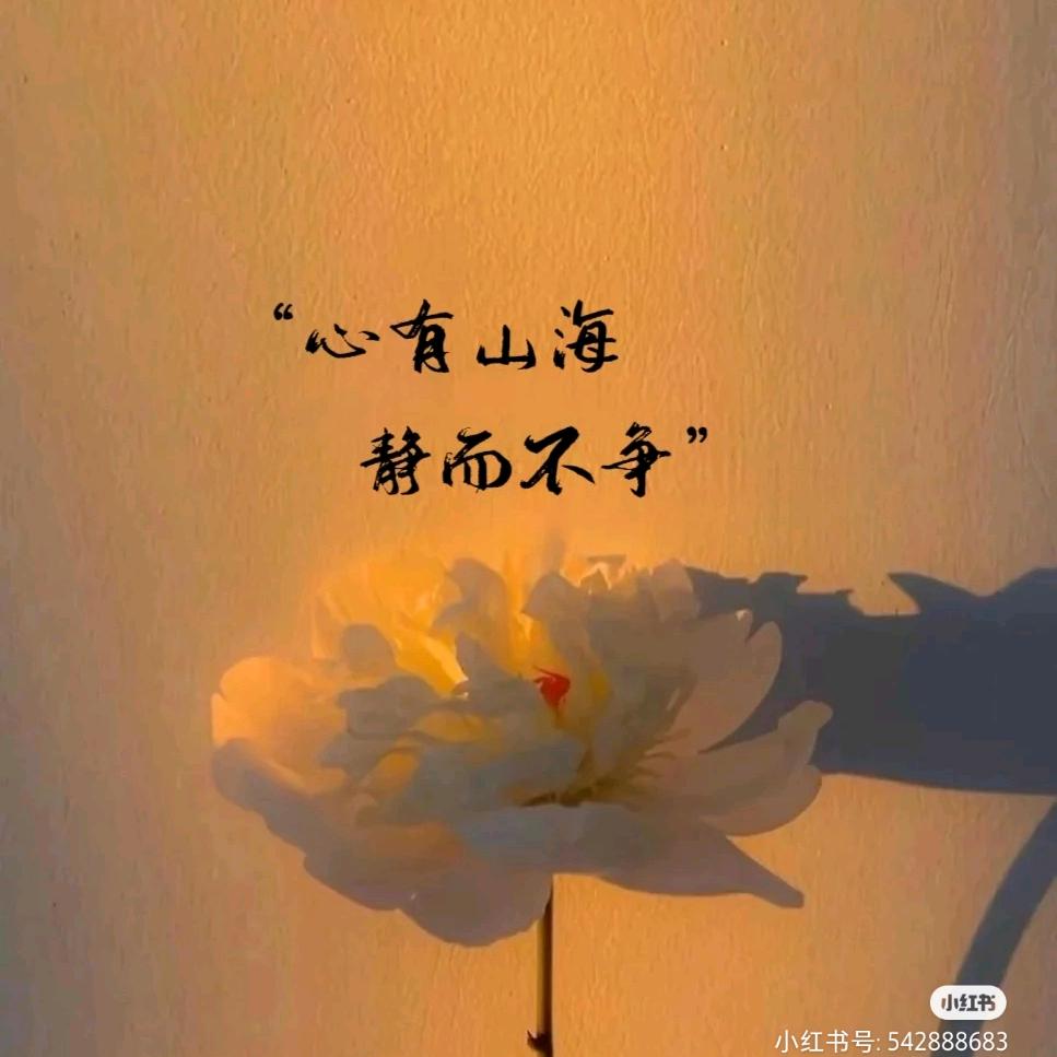 淡定……