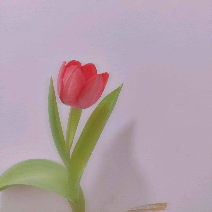 Liu_ᥫᩣ