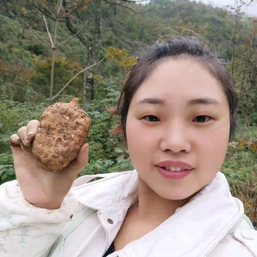 曾果粒