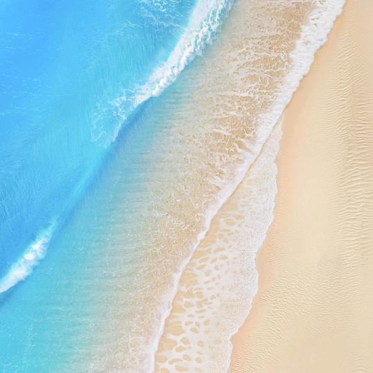 三宝贝