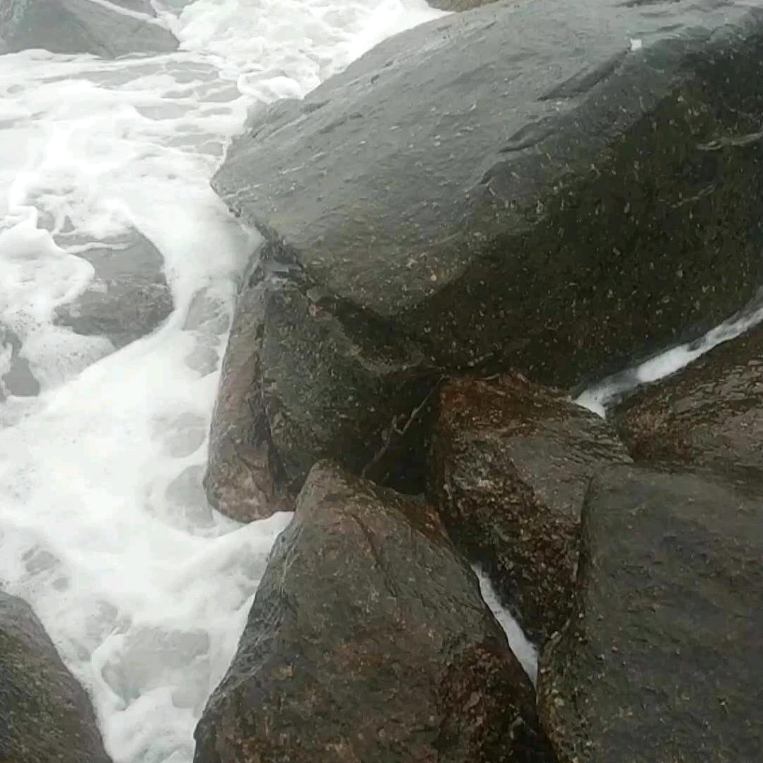 89110808278
