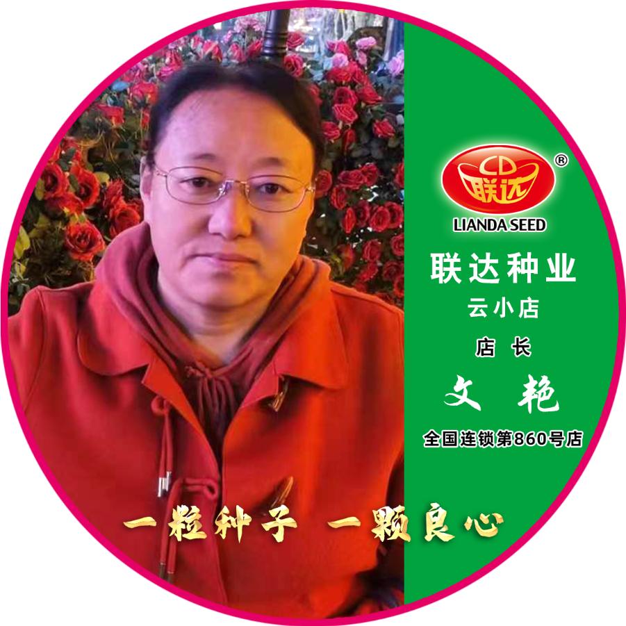 联达种业云小店-文艳