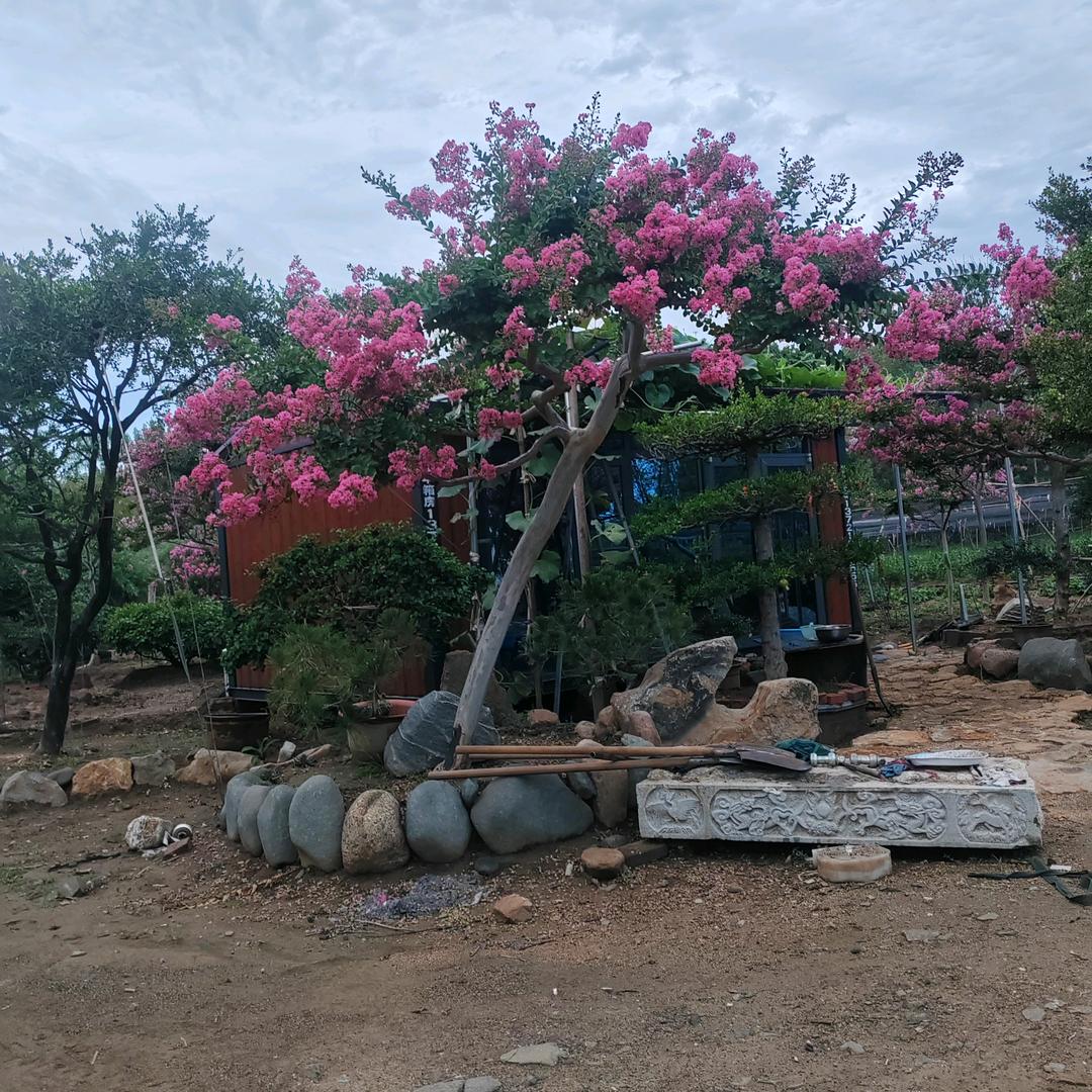 昌乐王传义花木园