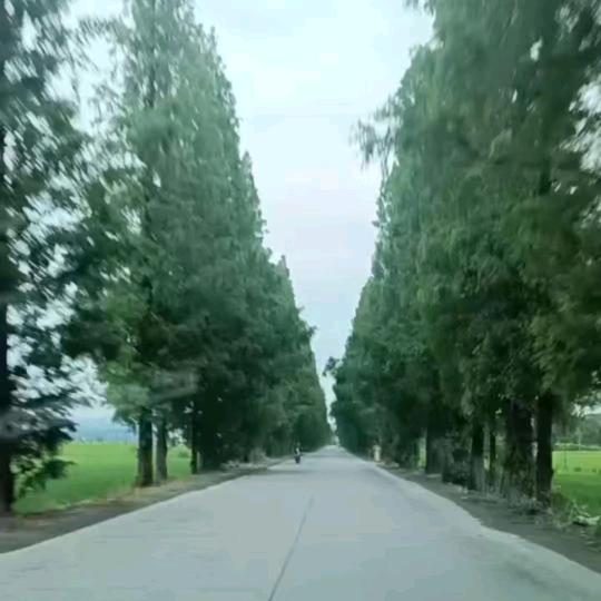 多多田园牧歌