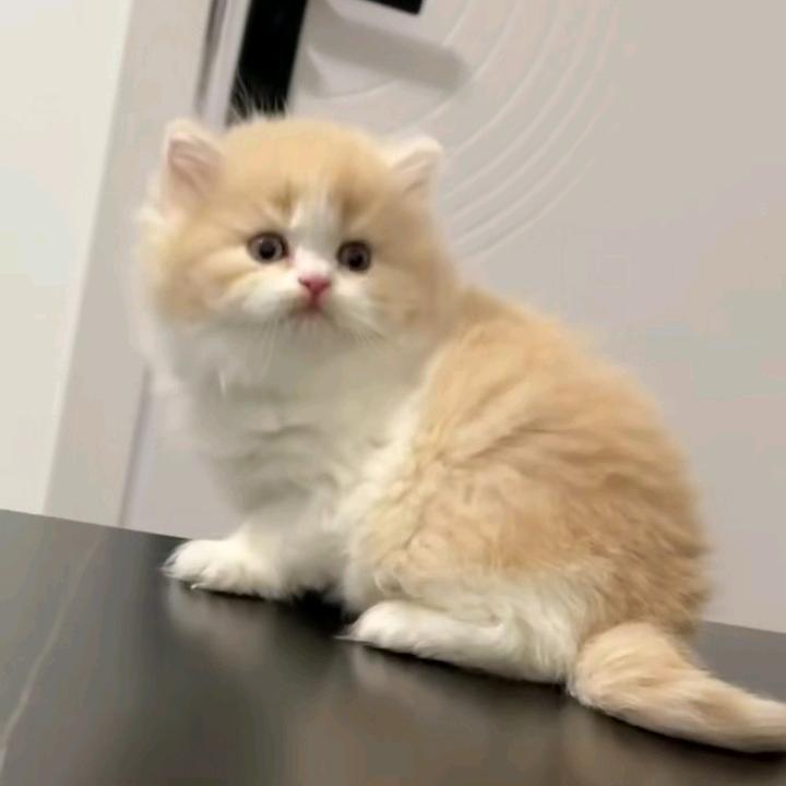 专做加热圈，陶瓷圈