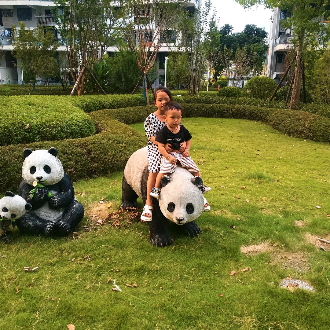 专为花木修地球