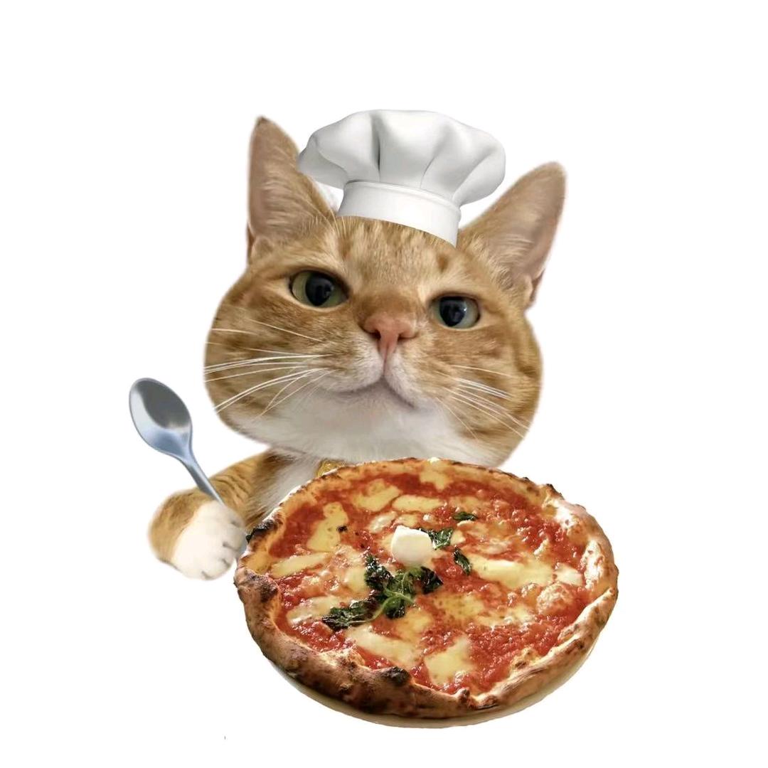 校园无火小厨娘🍜