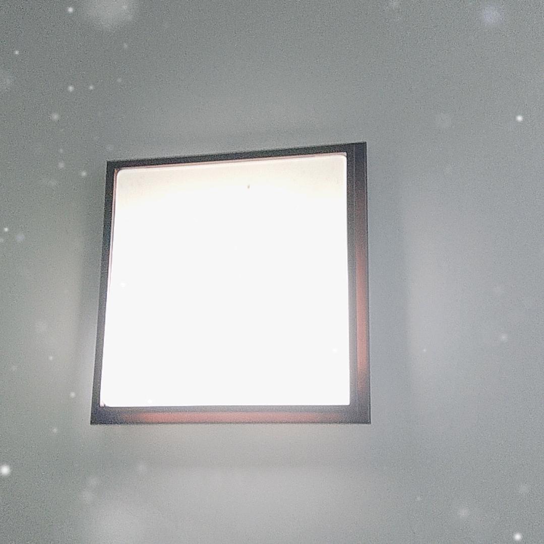 杨芳炳2760
